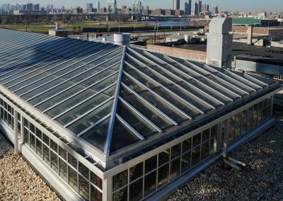 Double Pitch Hip Skylight at The Bronx Grit Chamber